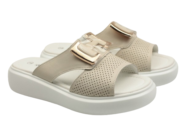 IMG_0295-removebg-preview