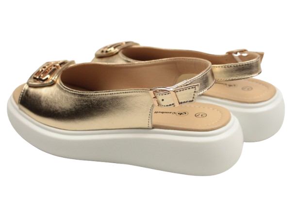 IMG_0329-removebg-preview