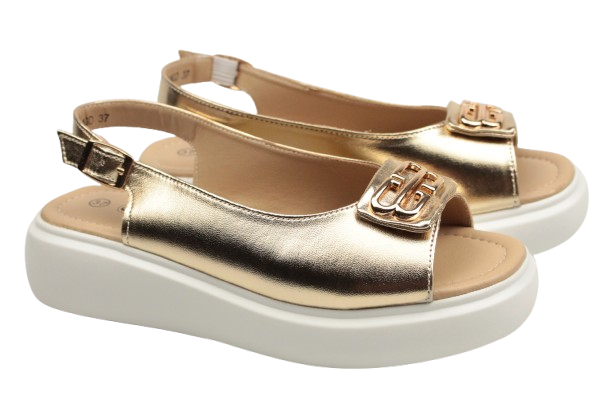 IMG_0330-removebg-preview (1)