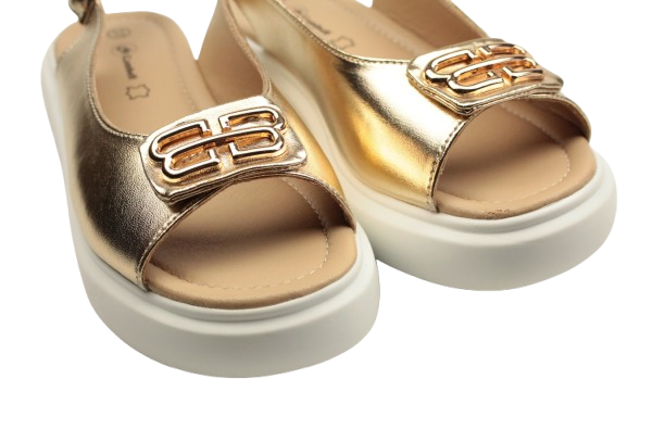 IMG_0332-removebg-preview