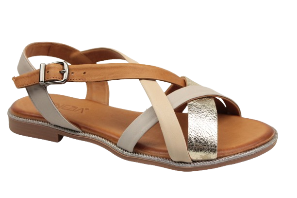 IMG_0333-removebg-preview IMG_0333-removebg-preview