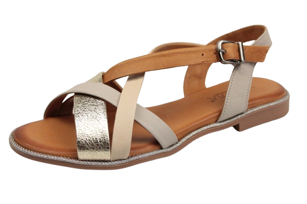 IMG_0335-removebg-preview IMG_0335-removebg-preview