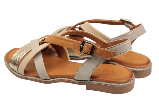 IMG_0336-removebg-preview IMG_0336-removebg-preview