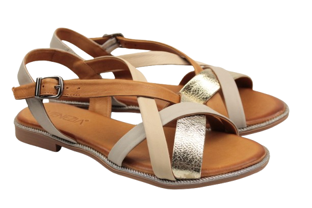 IMG_0337-removebg-preview IMG_0337-removebg-preview