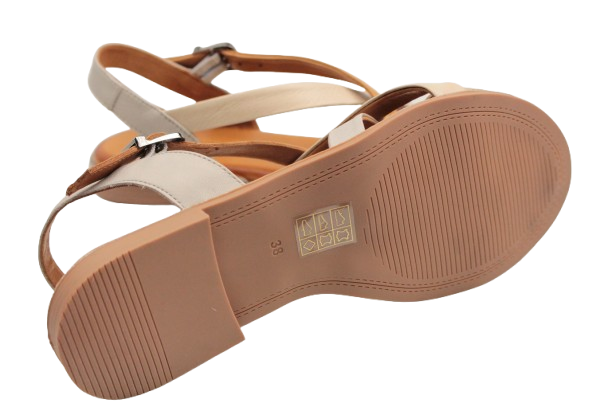 IMG_0338-removebg-preview (1) IMG_0338-removebg-preview (1)