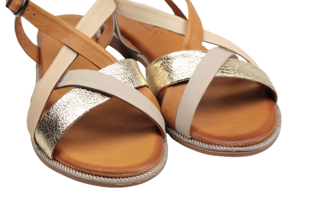 IMG_0339-removebg-preview IMG_0339-removebg-preview