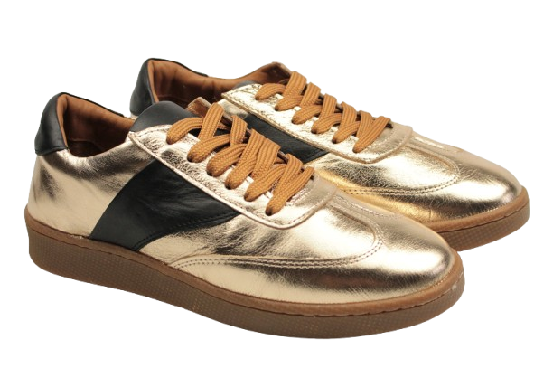 IMG_0344-removebg-preview