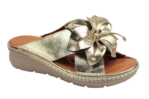 IMG_0354-removebg-preview IMG_0354-removebg-preview