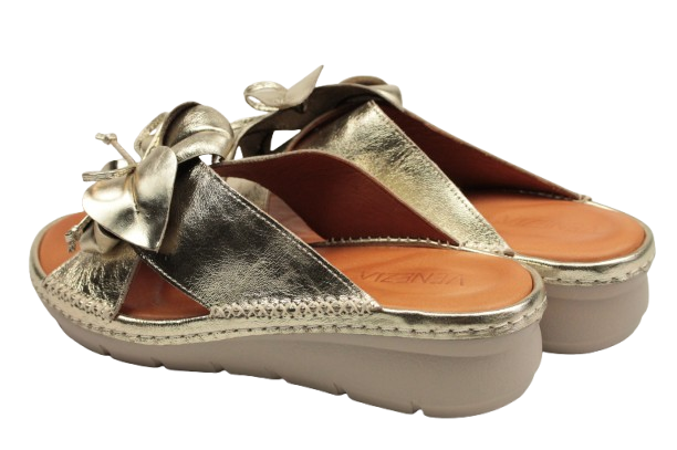 IMG_0357-removebg-preview IMG_0357-removebg-preview