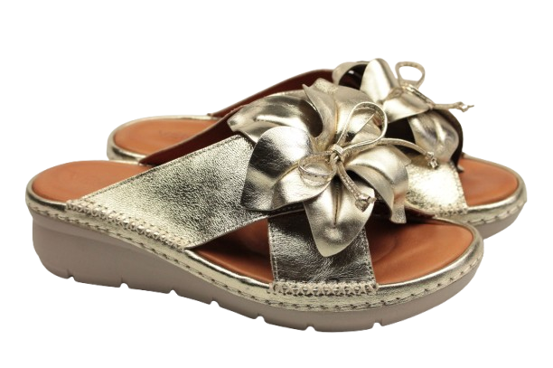 IMG_0358-removebg-preview IMG_0358-removebg-preview