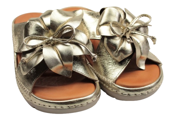 IMG_0360-removebg-preview IMG_0360-removebg-preview