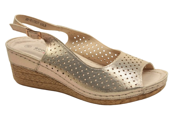 IMG_9826-removebg-preview IMG_9826-removebg-preview