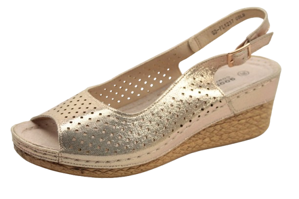 IMG_9828-removebg-preview IMG_9828-removebg-preview