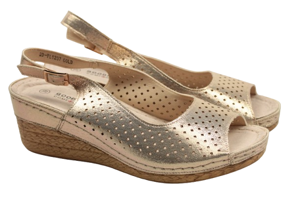 IMG_9830-removebg-preview (1) IMG_9830-removebg-preview (1)