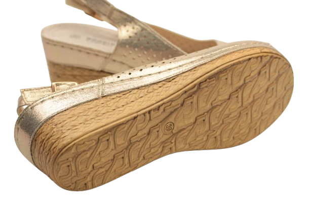 IMG_9831-removebg-preview IMG_9831-removebg-preview