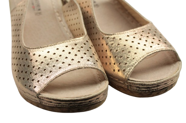 IMG_9832-removebg-preview IMG_9832-removebg-preview