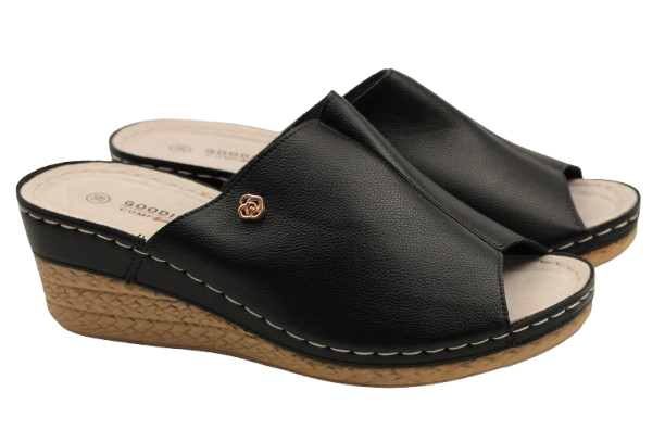 IMG_9844-removebg-preview IMG_9844-removebg-preview