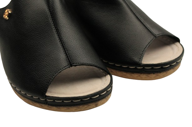 IMG_9846-removebg-preview IMG_9846-removebg-preview