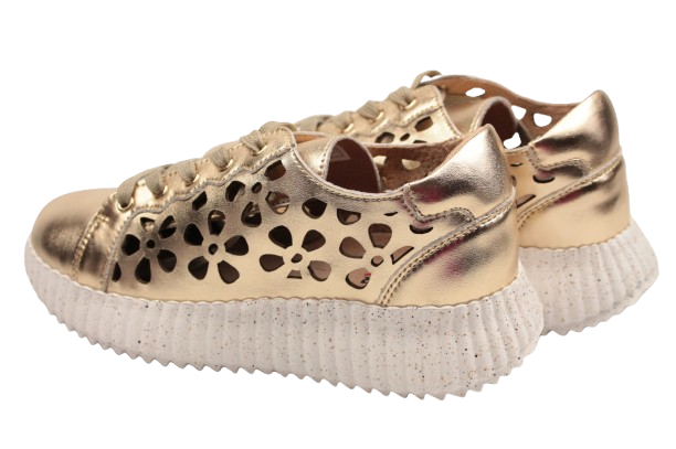 IMG_0364-removebg-preview