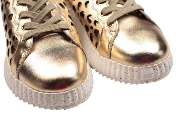 IMG_0367-removebg-preview