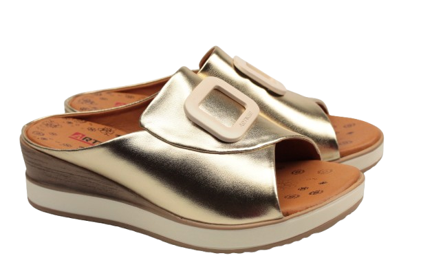 IMG_0379-removebg-preview