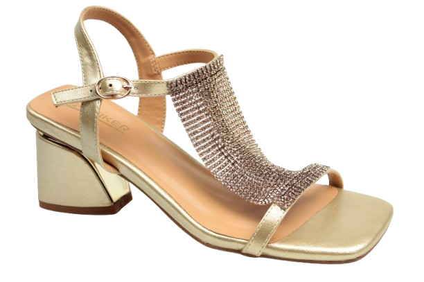 IMG_0389-removebg-preview IMG_0389-removebg-preview