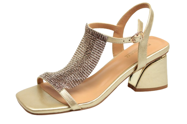 IMG_0391-removebg-preview IMG_0391-removebg-preview