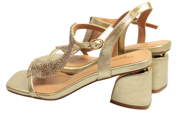 IMG_0392-removebg-preview IMG_0392-removebg-preview