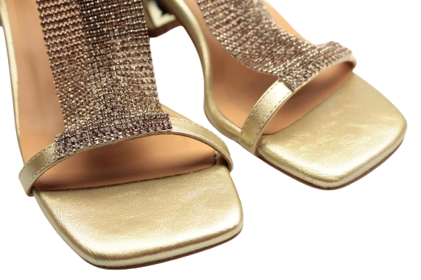 IMG_0395-removebg-preview IMG_0395-removebg-preview