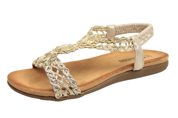 IMG_0405-removebg-preview (1)