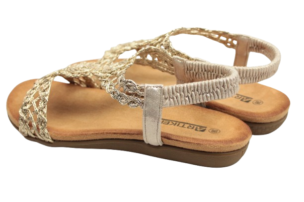 IMG_0406-removebg-preview