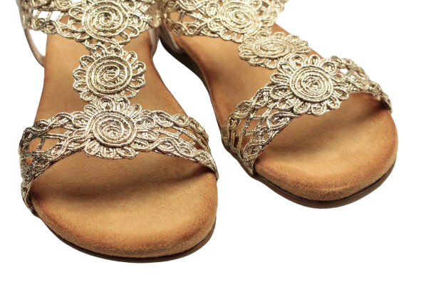 IMG_0409-removebg-preview