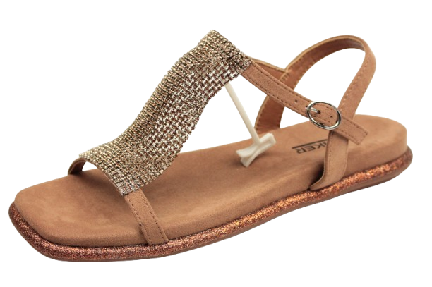 IMG_0412-removebg-preview IMG_0412-removebg-preview