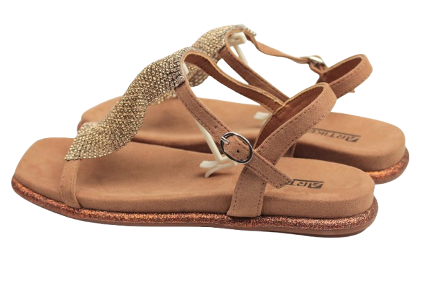 IMG_0413-removebg-preview IMG_0413-removebg-preview