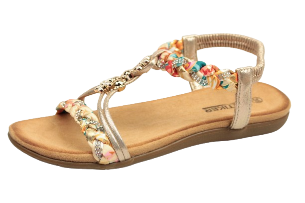 IMG_0419-removebg-preview IMG_0419-removebg-preview