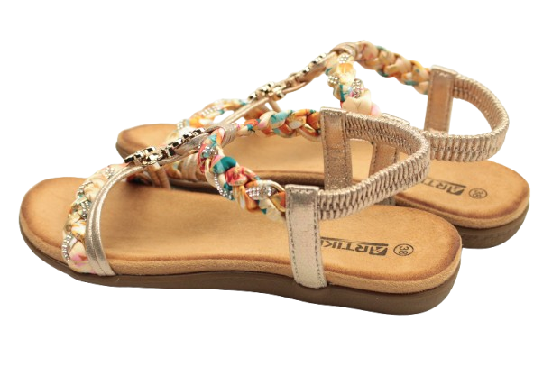 IMG_0420-removebg-preview IMG_0420-removebg-preview