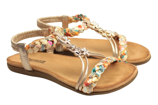 IMG_0421-removebg-preview IMG_0421-removebg-preview