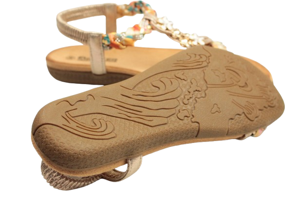 IMG_0422-removebg-preview IMG_0422-removebg-preview