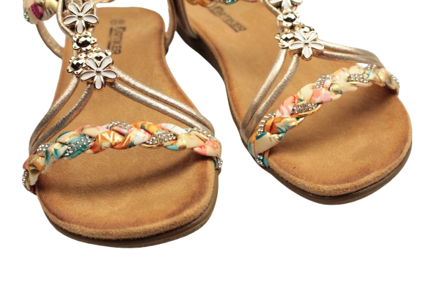 IMG_0423-removebg-preview (1) IMG_0423-removebg-preview (1)