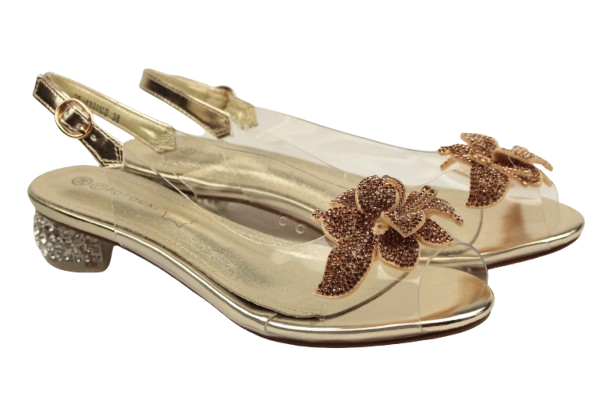 IMG_0463-removebg-preview