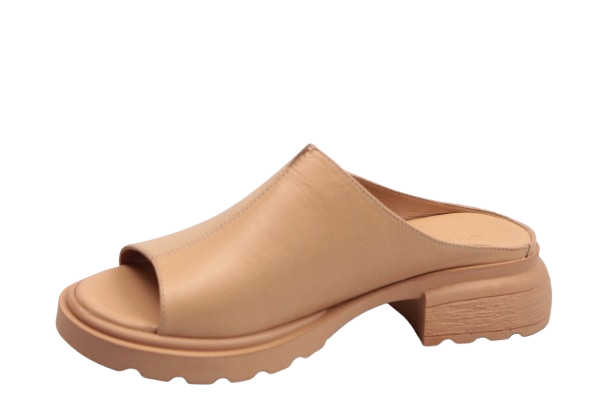 IMG_0488-removebg-preview