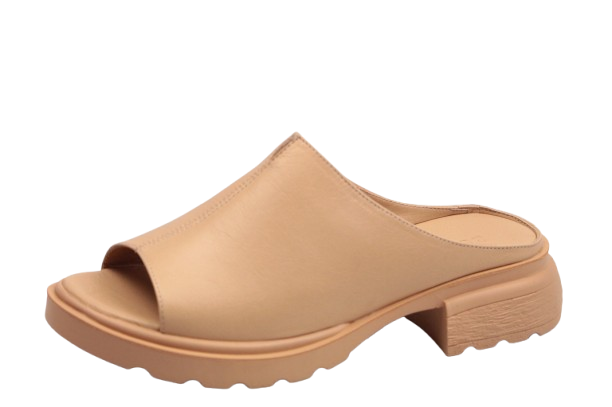 IMG_0489-removebg-preview