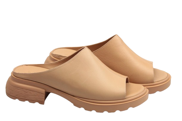 IMG_0490-removebg-preview