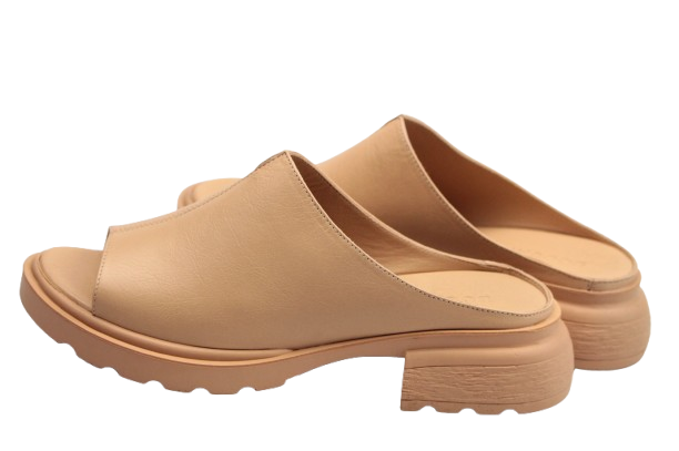 IMG_0491-removebg-preview