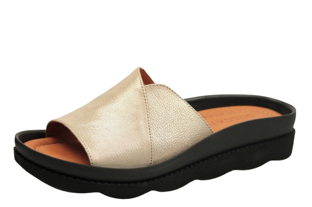 IMG_0501-removebg-preview