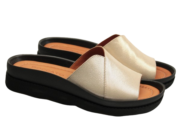 IMG_0502-removebg-preview