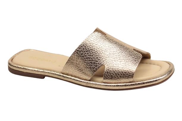 IMG_0511-removebg-preview IMG_0511-removebg-preview