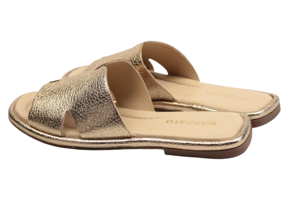 IMG_0514-removebg-preview IMG_0514-removebg-preview