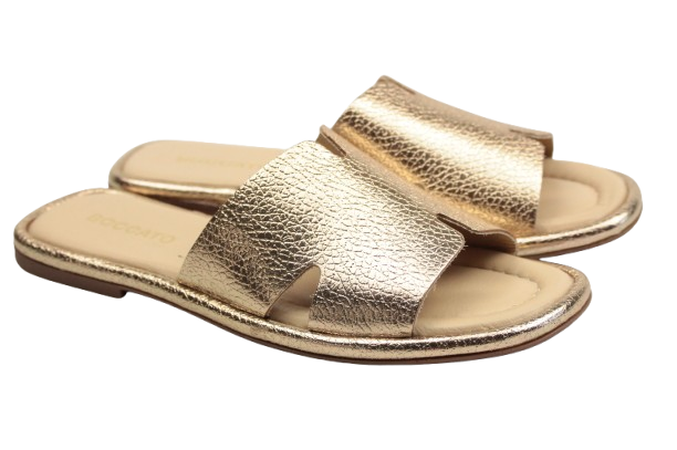 IMG_0515-removebg-preview (1) IMG_0515-removebg-preview (1)