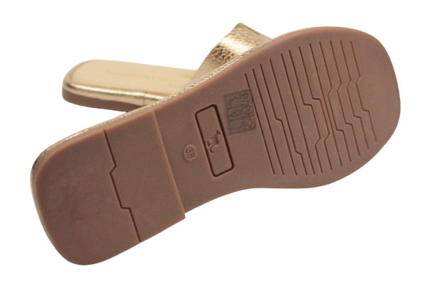 IMG_0516-removebg-preview IMG_0516-removebg-preview